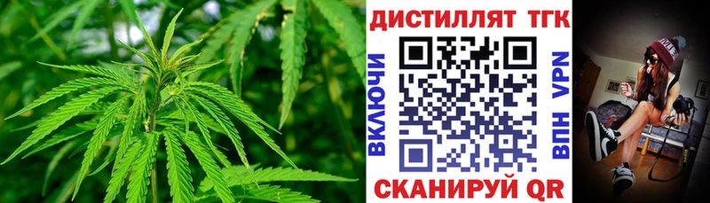 Купить где  Рузаевка  ТГК THC oil 