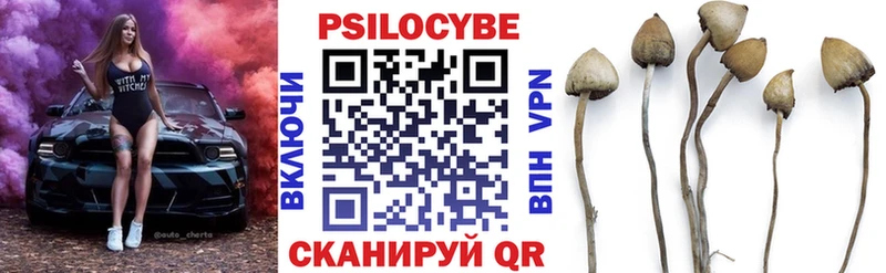 Псилоцибиновые грибы Magic Shrooms  Купить где  Рузаевка 