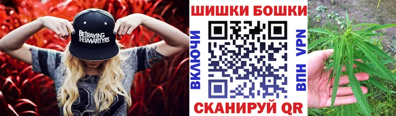 Купить где  Рузаевка  Бошки Шишки планчик 
